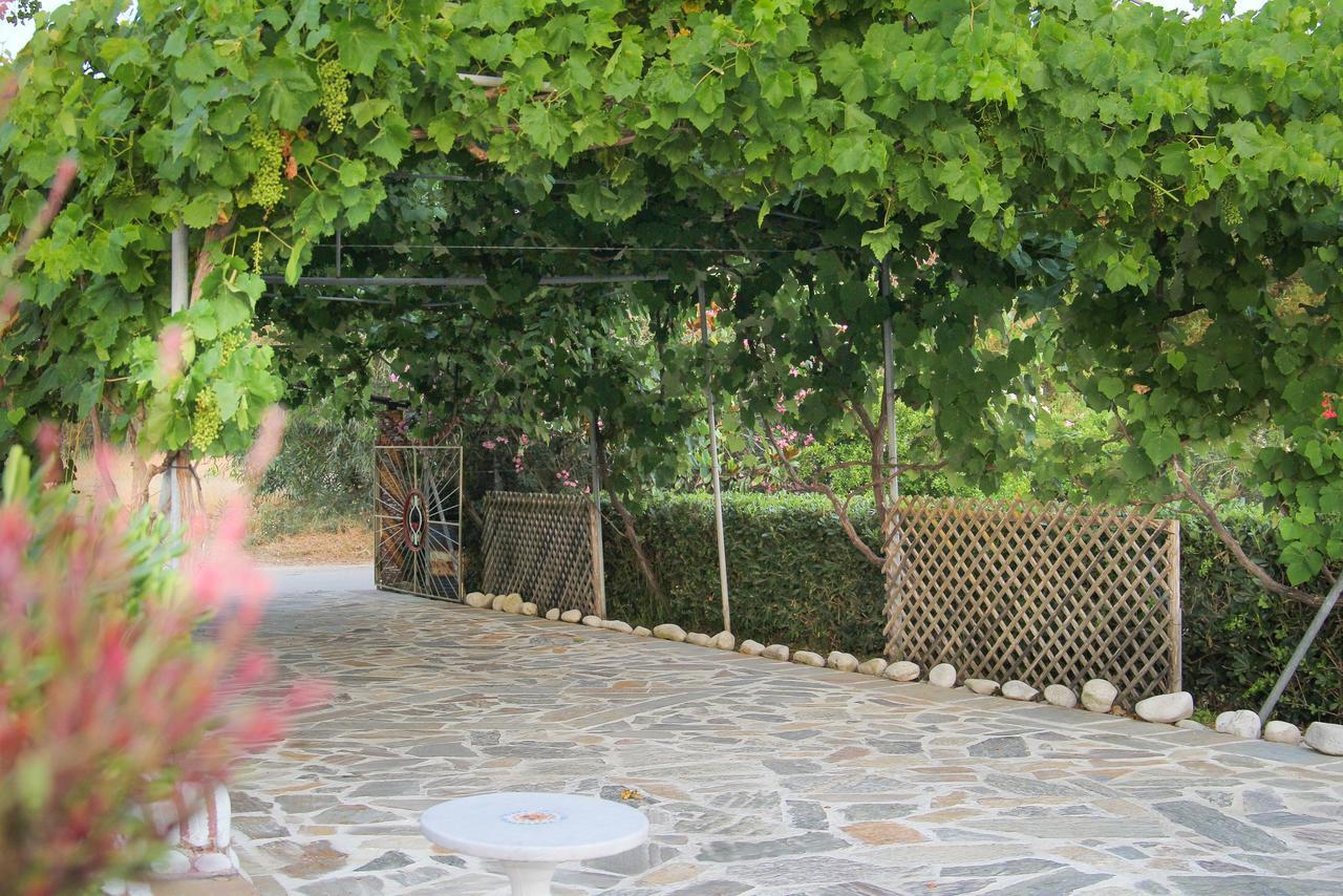 Kouros Resort Kalamákion Zewnętrze zdjęcie
